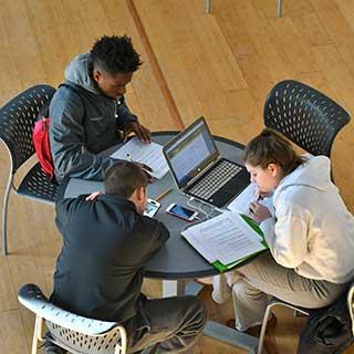 Students studying in the library